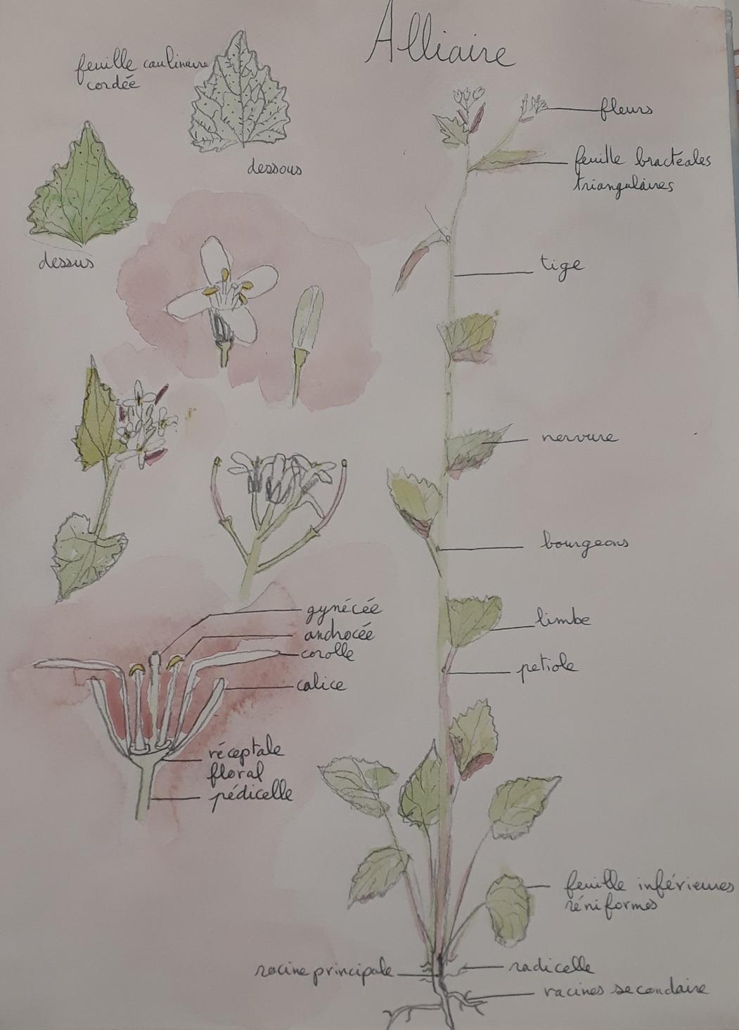 Annexe 20200410_184300-ConvertImage-ConvertImage.jpg