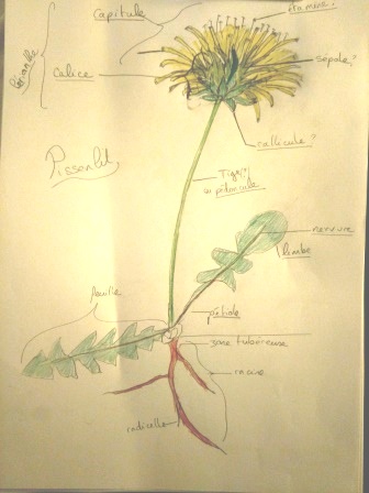 Annexe IMG_20200410_205101_1.jpg