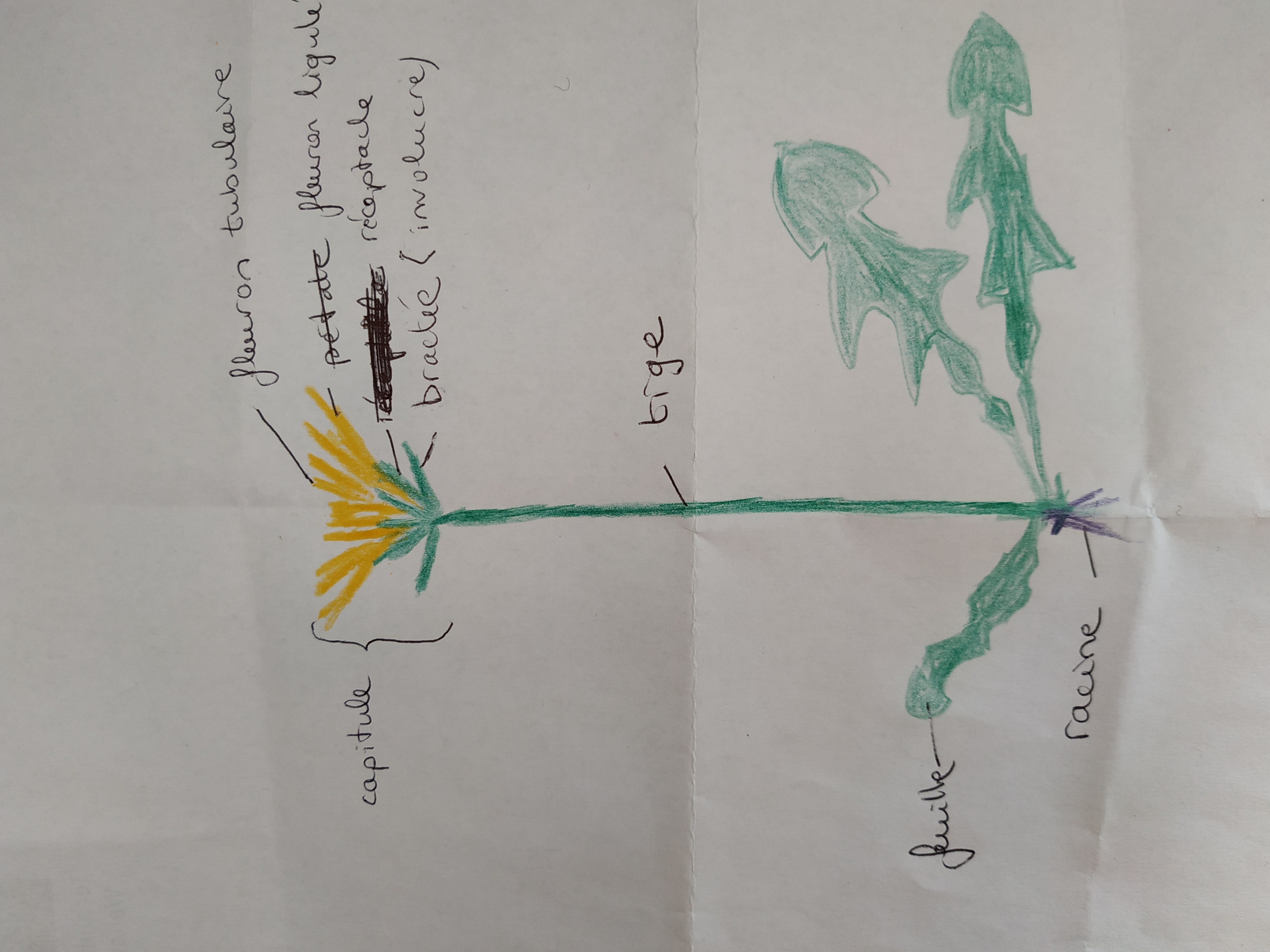 Annexe IMG_20200410_134758.jpg