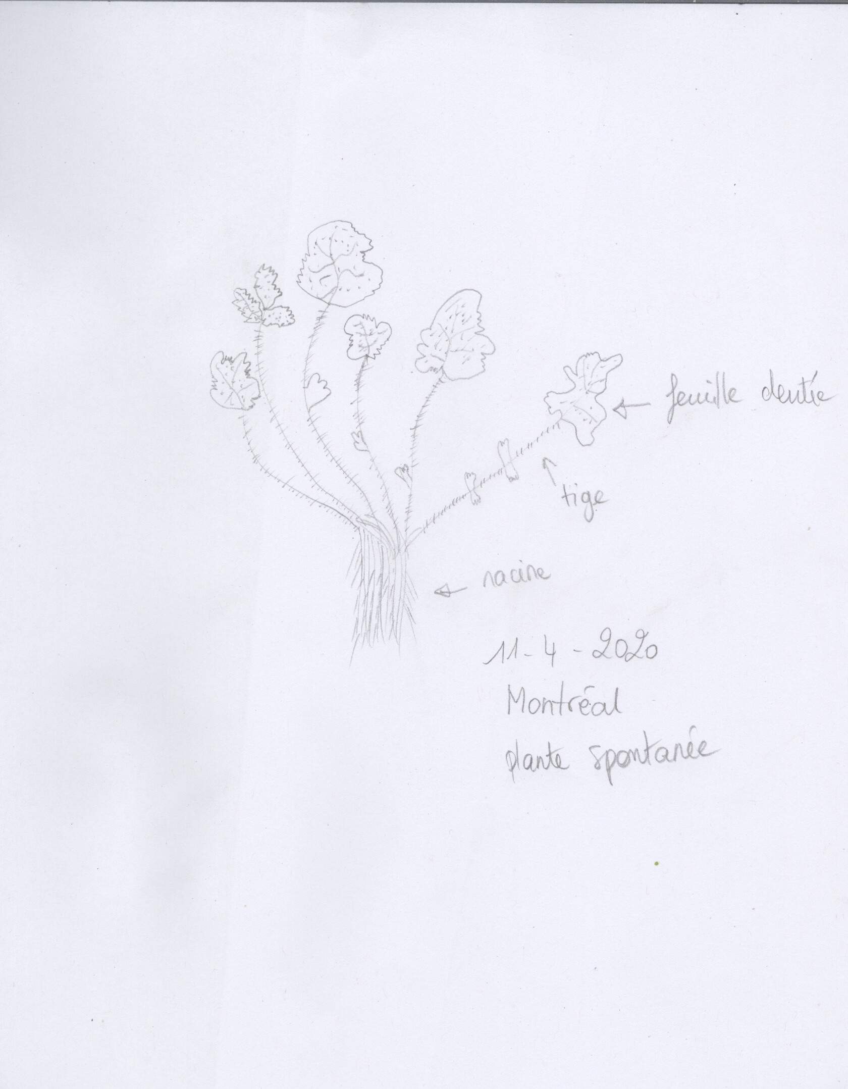 Annexe Scan-200411-0002.JPG