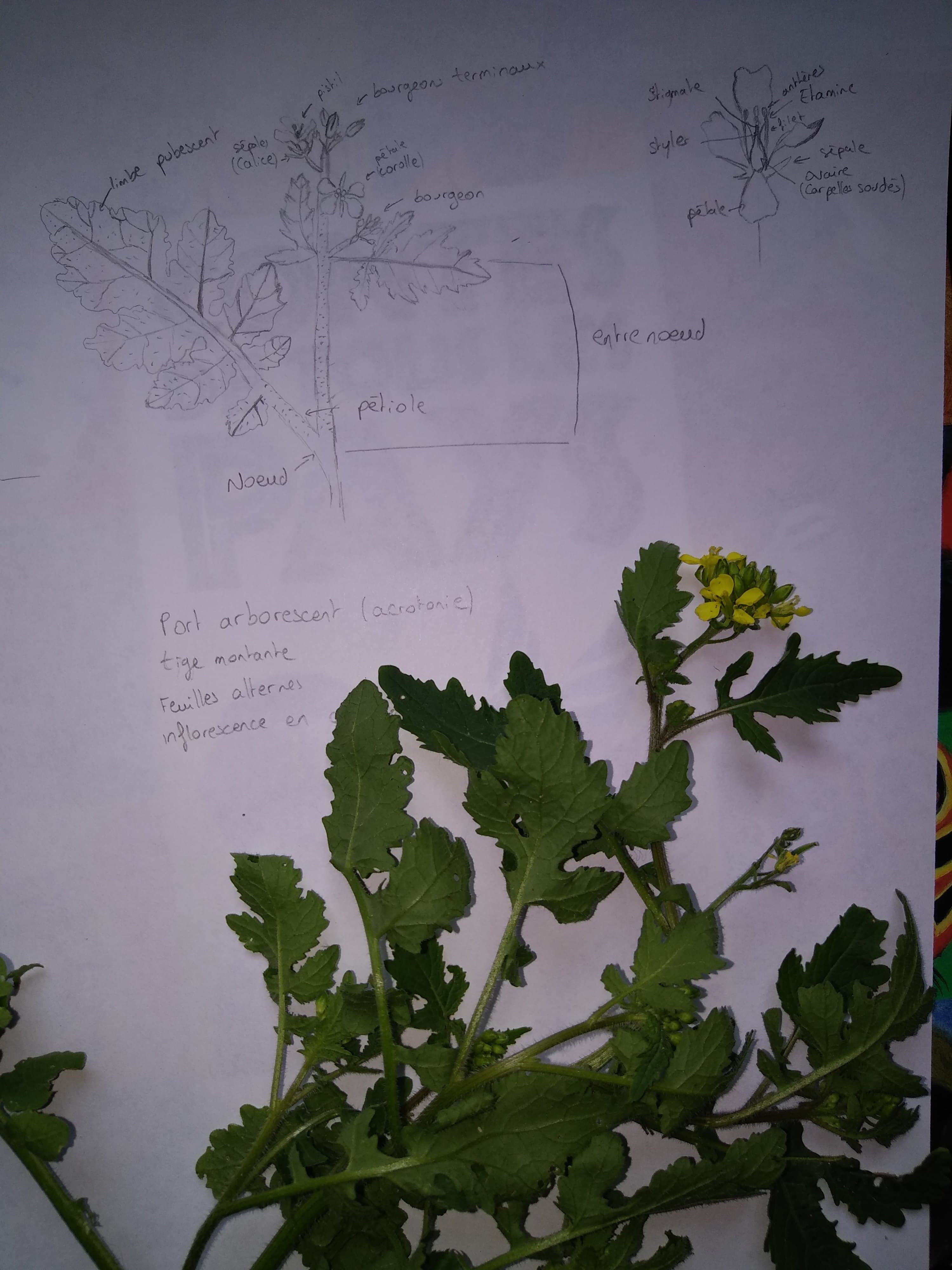 Annexe 93045910_645095986275971_637471729110745088_n.jpg