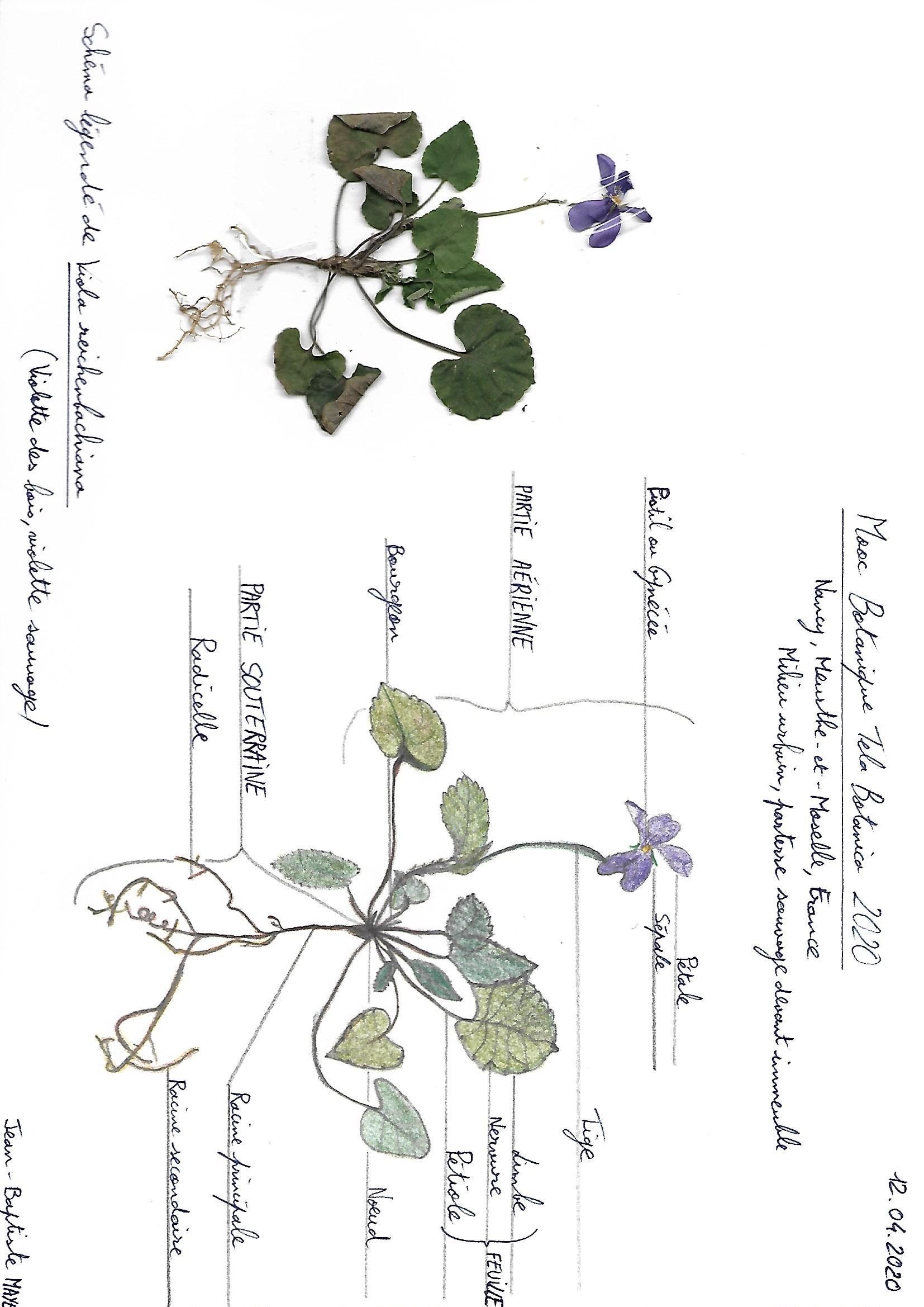 Annexe Scan_0001.jpg