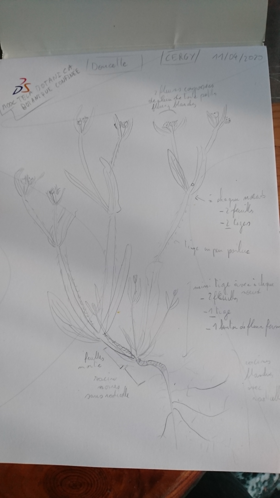 Annexe DSC_0316_1.JPG