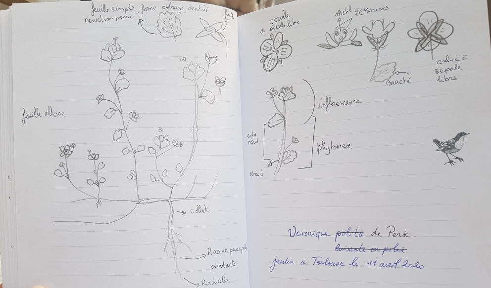 Annexe Screenshot_20200411-170941_Gallery.jpg