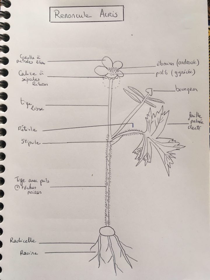 Annexe 93158535_909382256175004_5024484761289097216_n.jpg