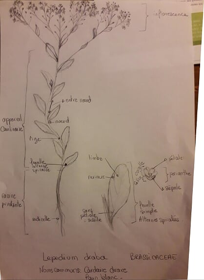 Annexe 20200413_230045 1.jpg