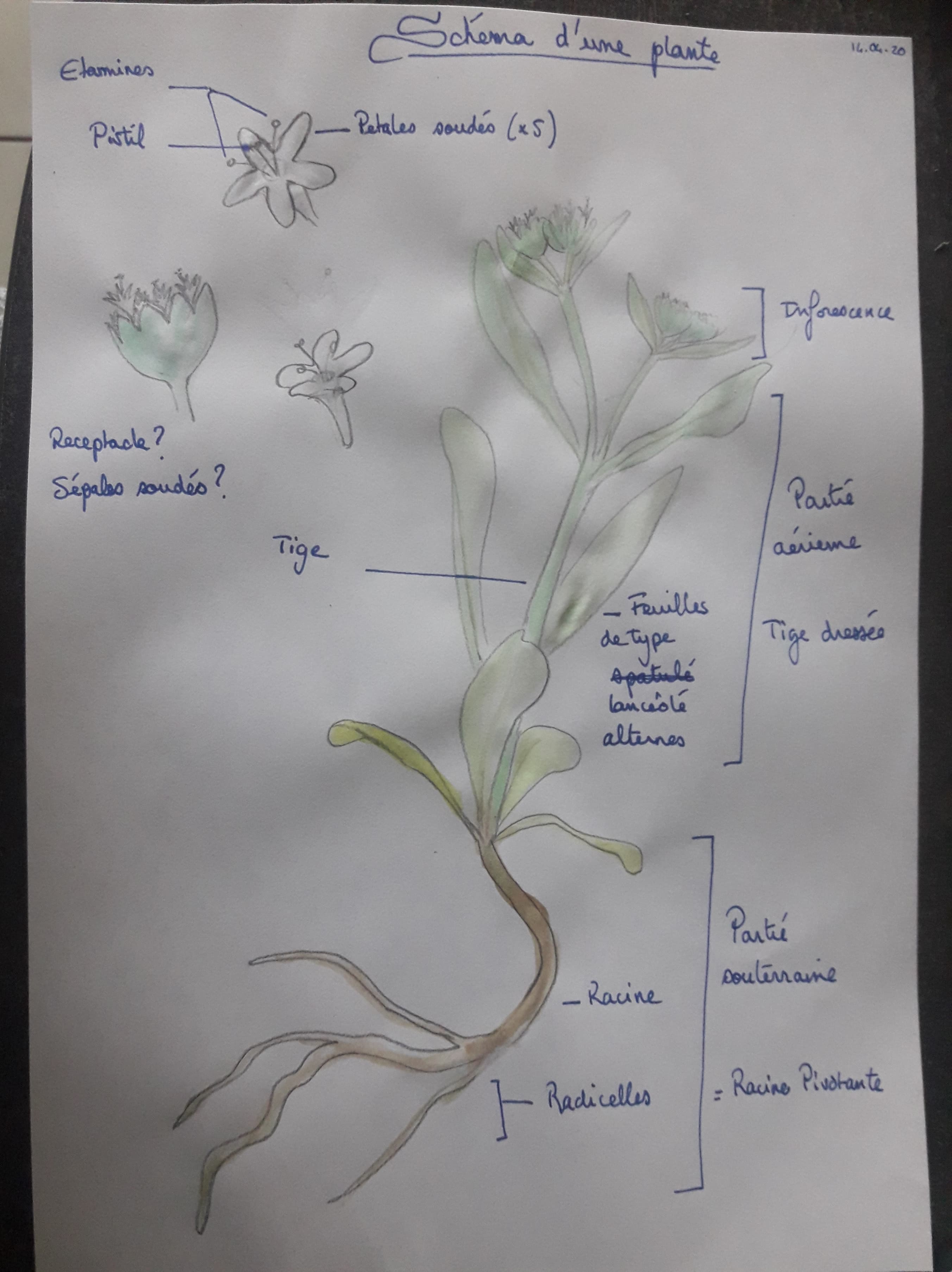 Annexe 93323738_2648777618578583_5244695568575365120_n.jpg