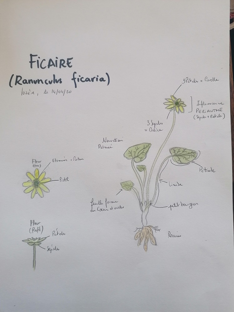 Annexe IMG_20200414_165104.jpg