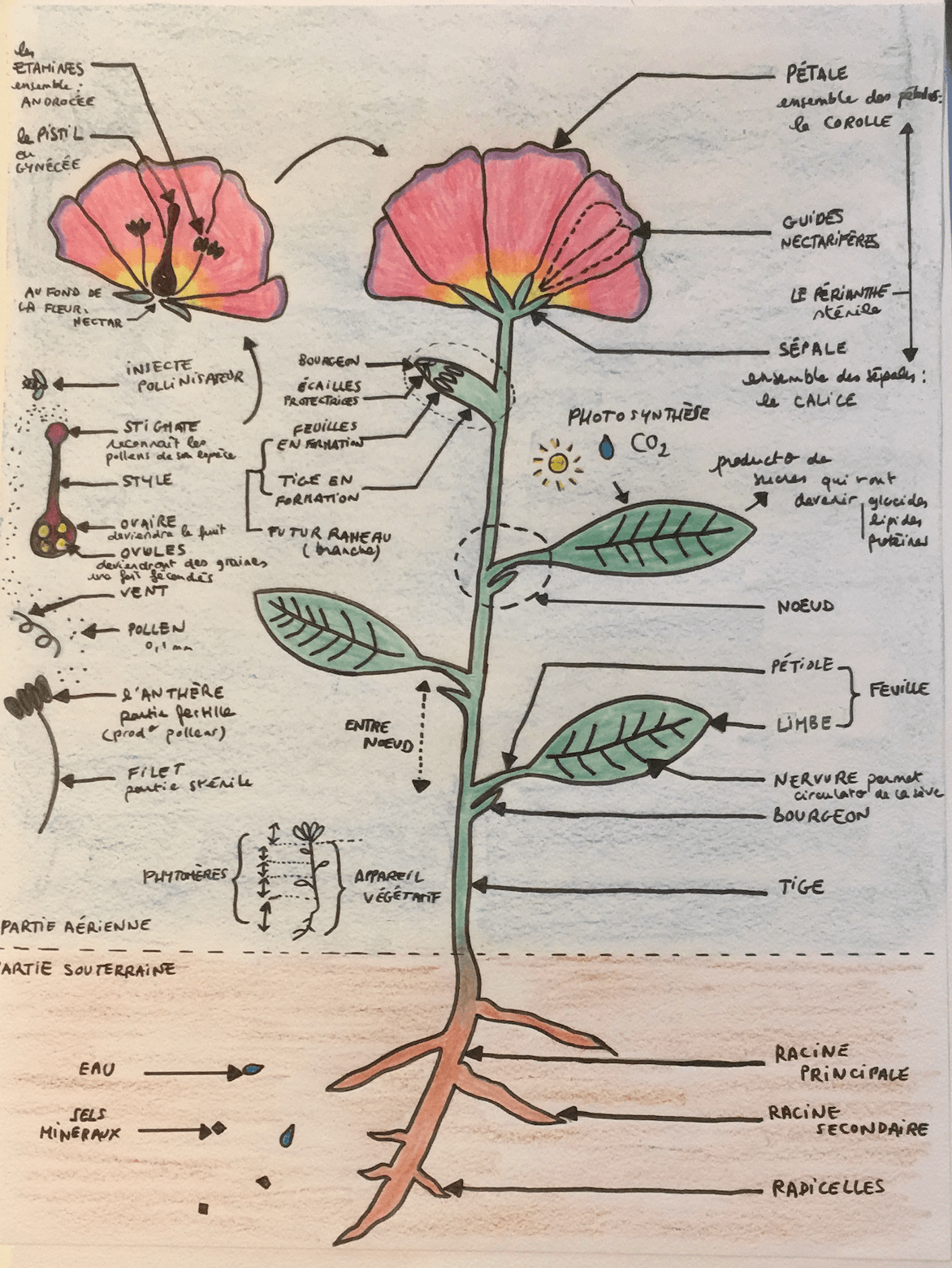 Annexe Capture d’écran 2020-04-17 à 15.13.01.png