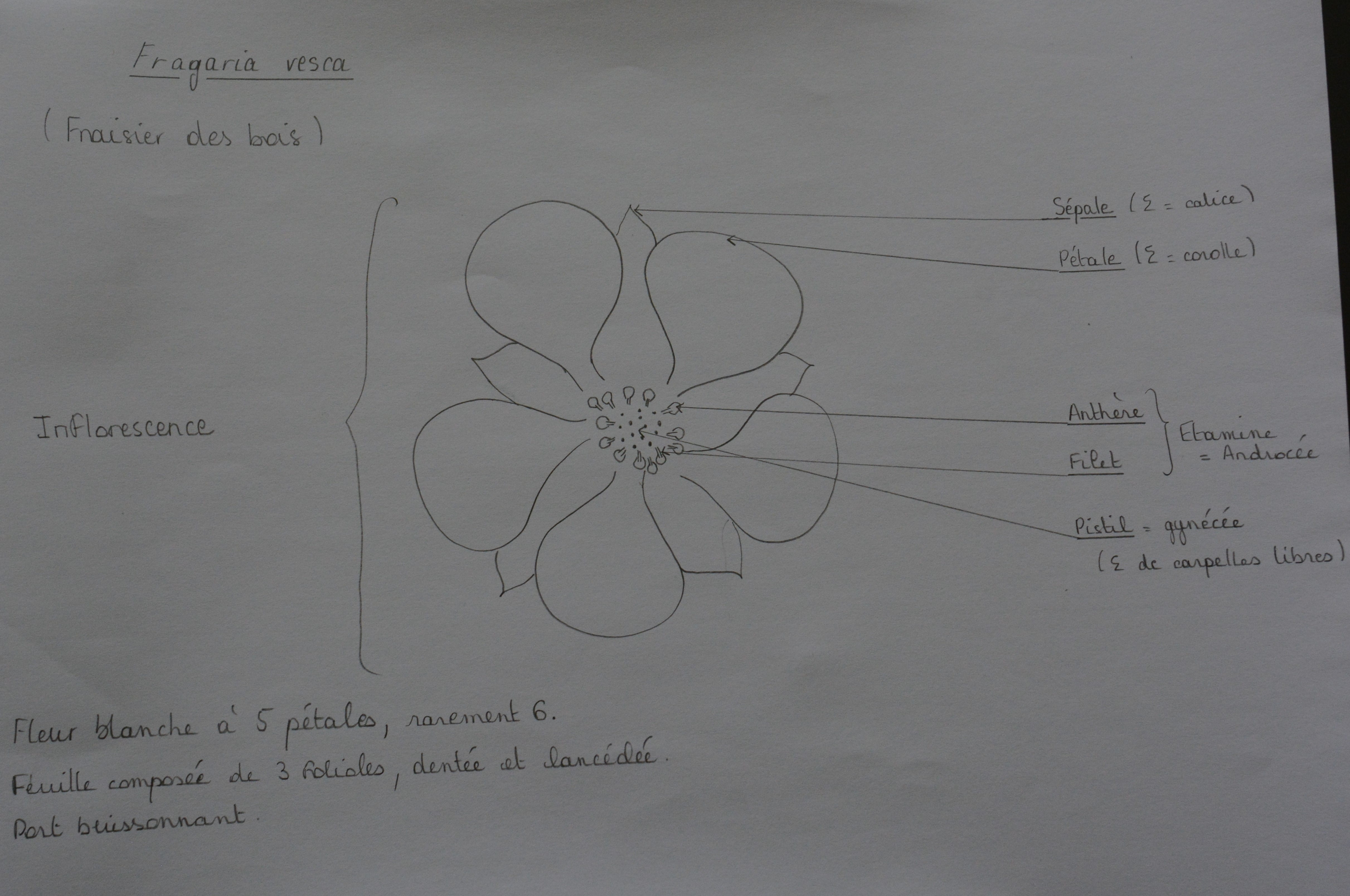 Annexe 710_9620-min.JPG