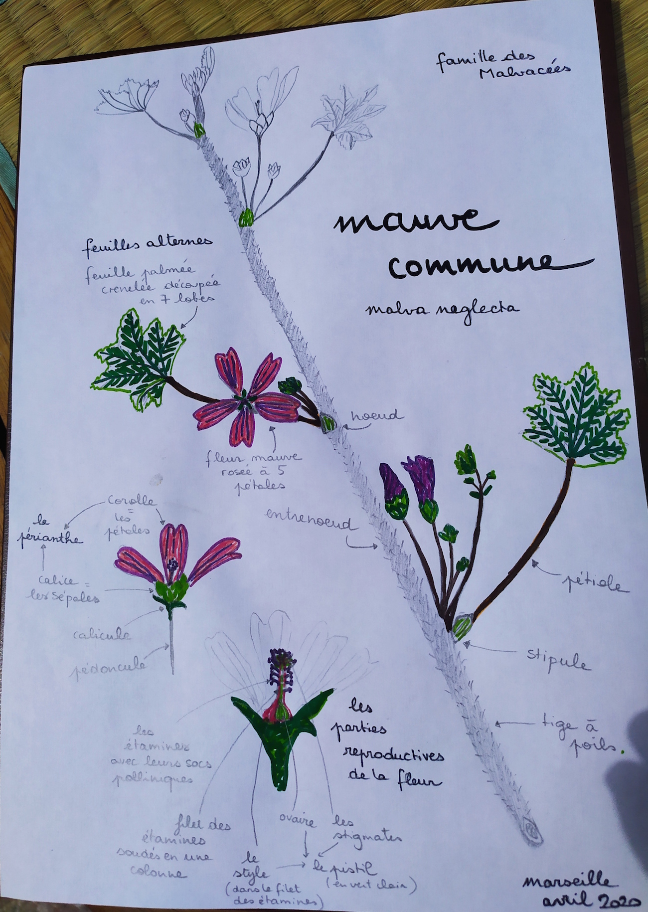 Annexe IMG_20200418_132652 (1).jpg