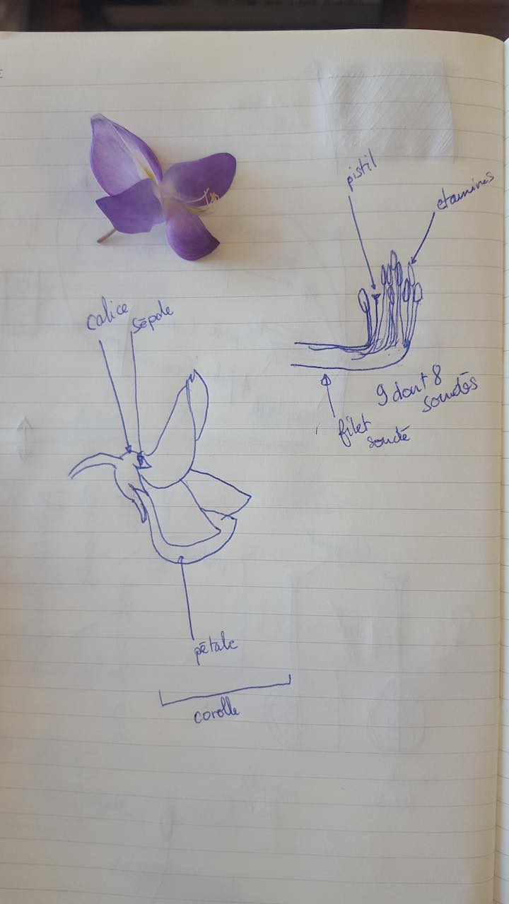 Annexe 6F7CgYUf.jpeg