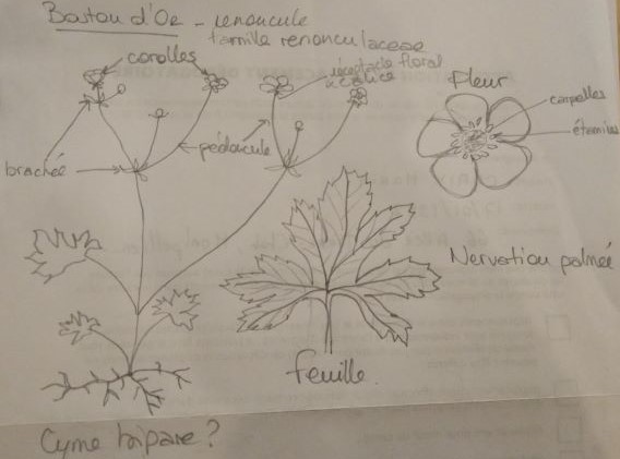 Annexe IMG_20200419_120515.jpg