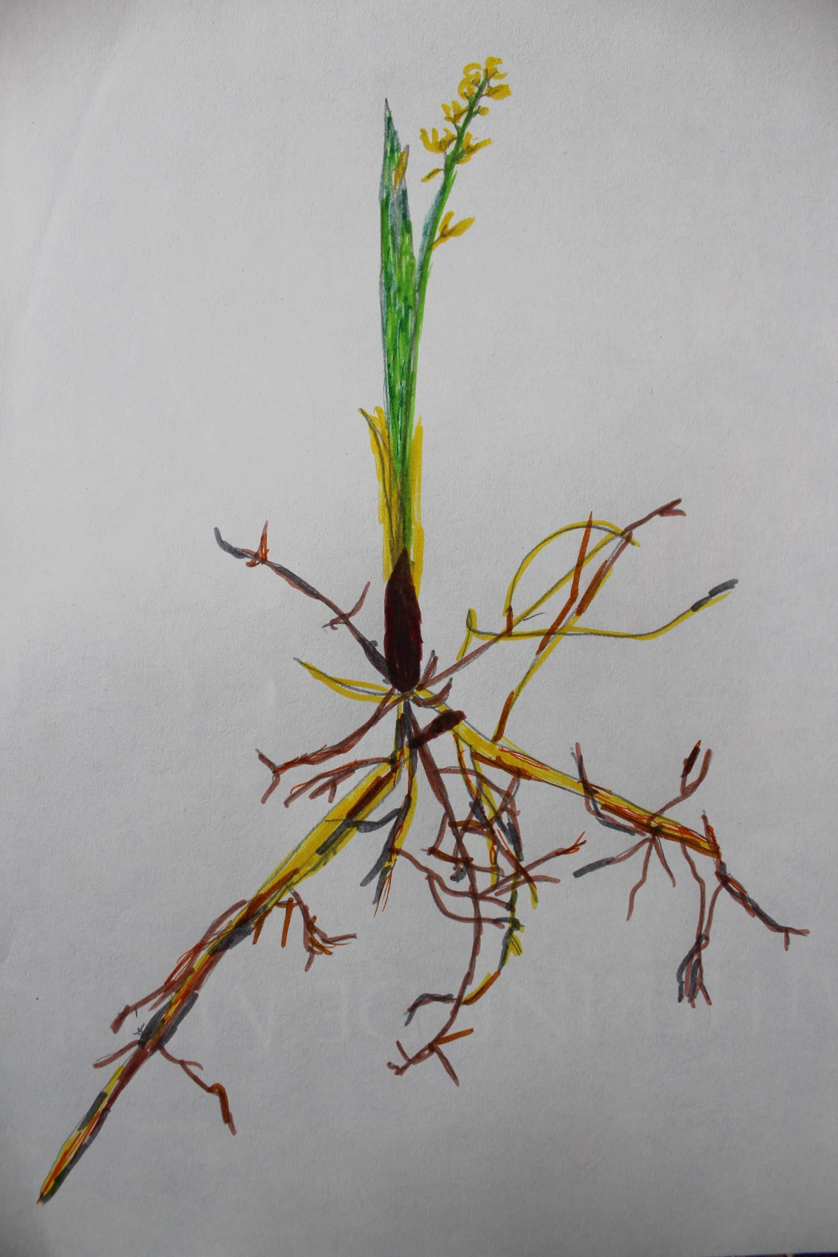 Annexe 93826827_2330218077276191_4123164953437798400_n.jpg