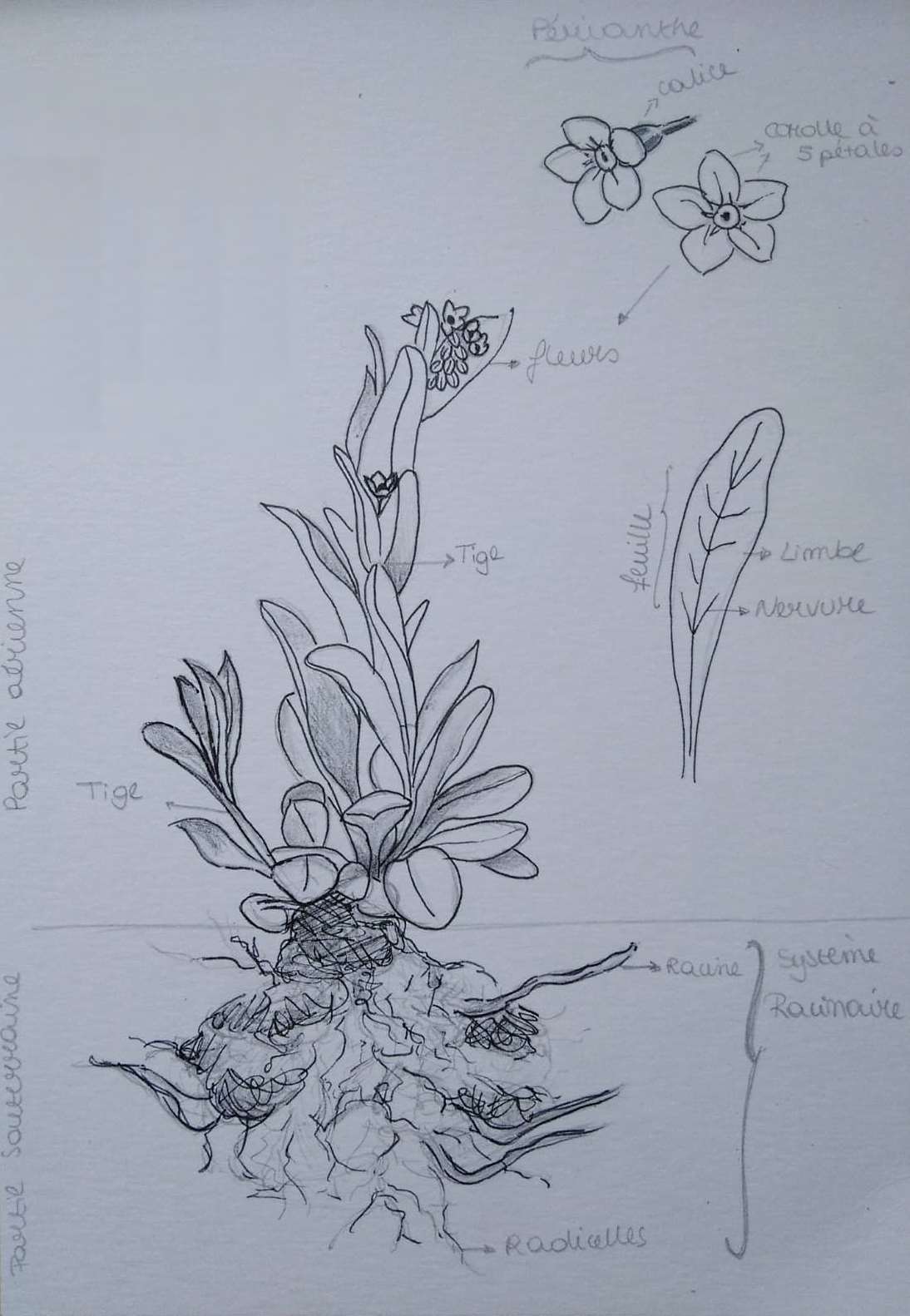 Annexe WhatsApp Image 2020-04-19 at 17.45.54.jpeg