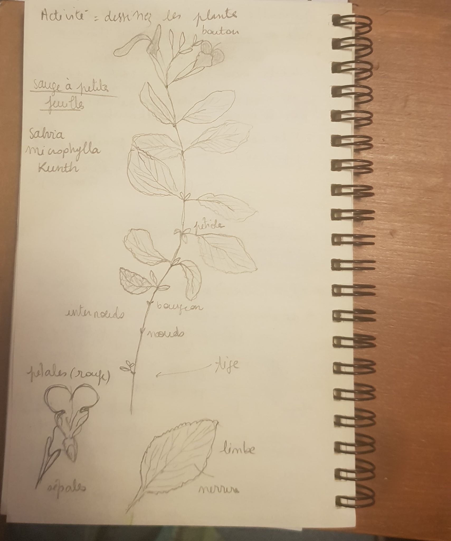 Annexe 94022220_269892961075785_8651813963949932544_n.jpg