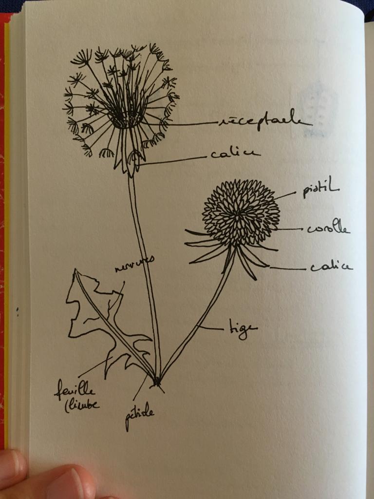 Annexe WhatsApp Image 2020-04-20 at 17.48.15.jpeg