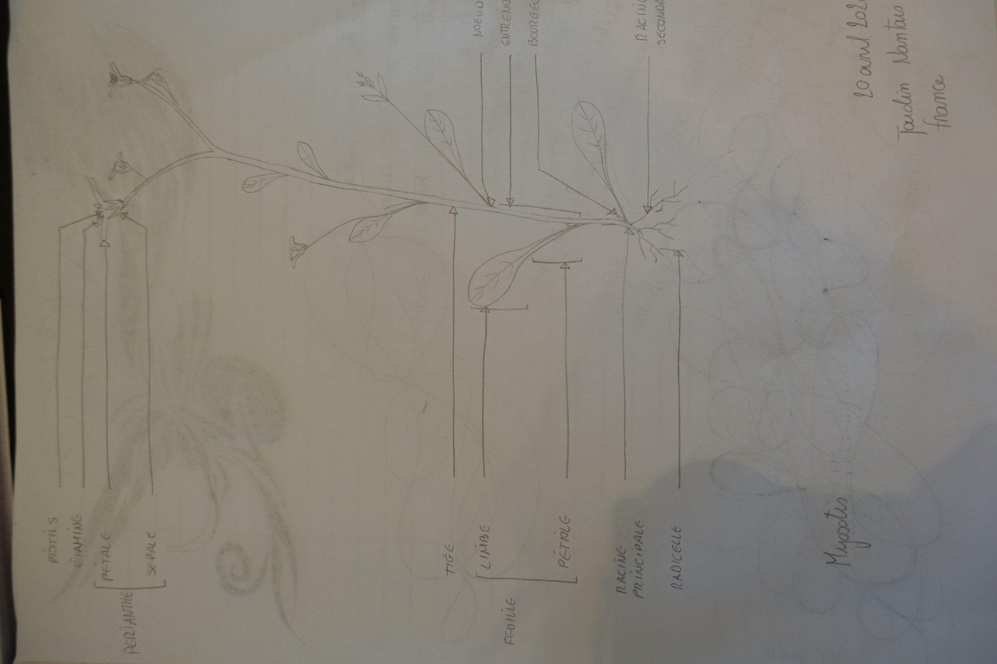 Annexe croquis redimentionné.jpg
