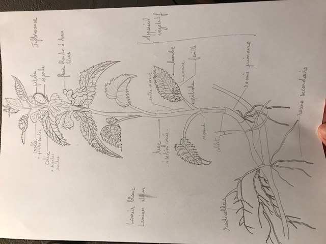 Annexe IMG_1769 (002).jpg