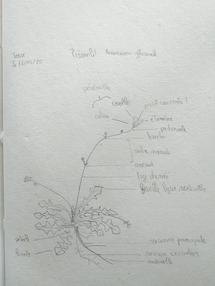 Annexe 20200421_111708.jpg