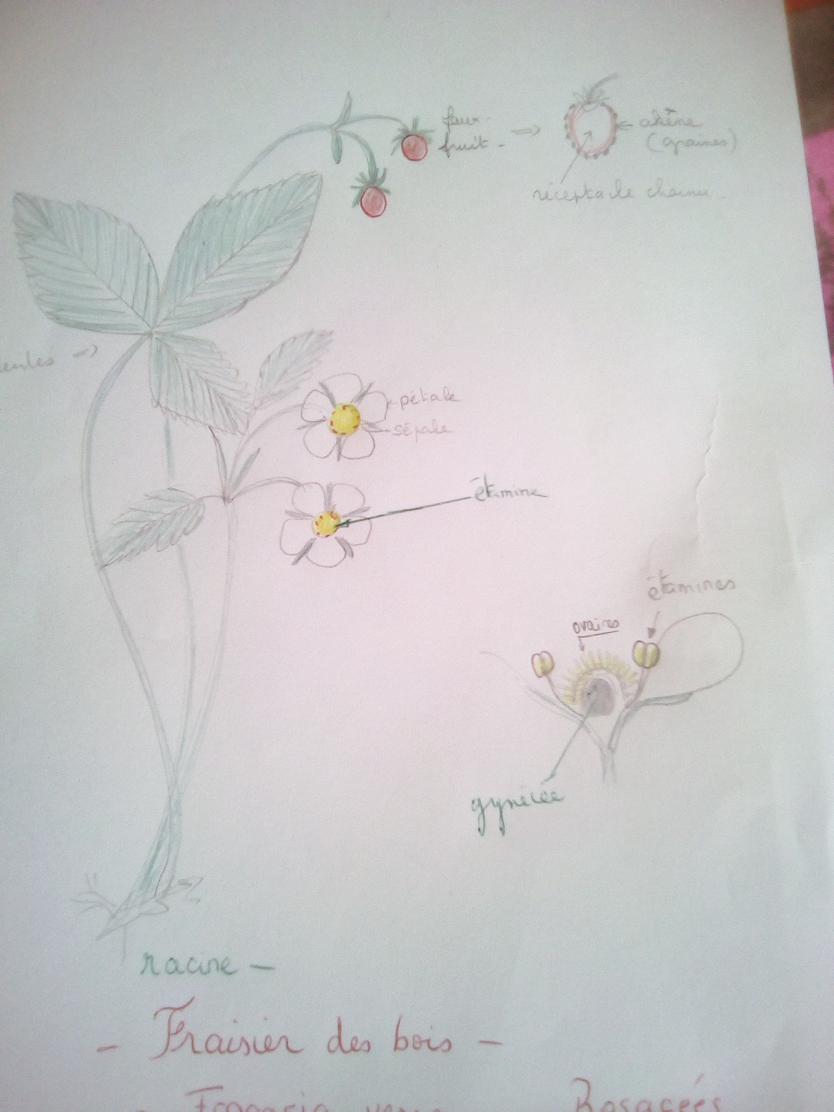 Annexe 15874880796091250563260.jpg