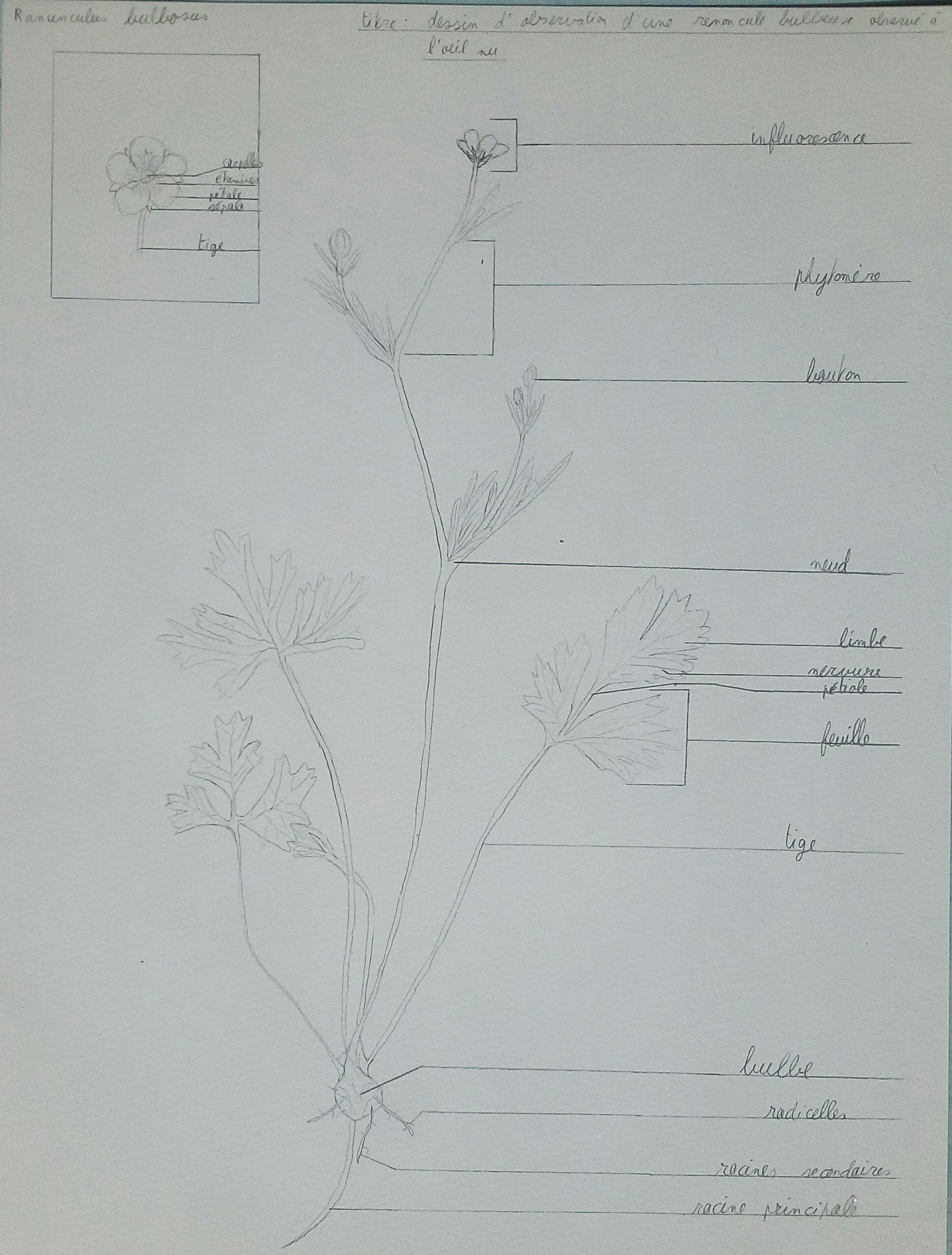 Annexe IMG_20200422_114925.jpg