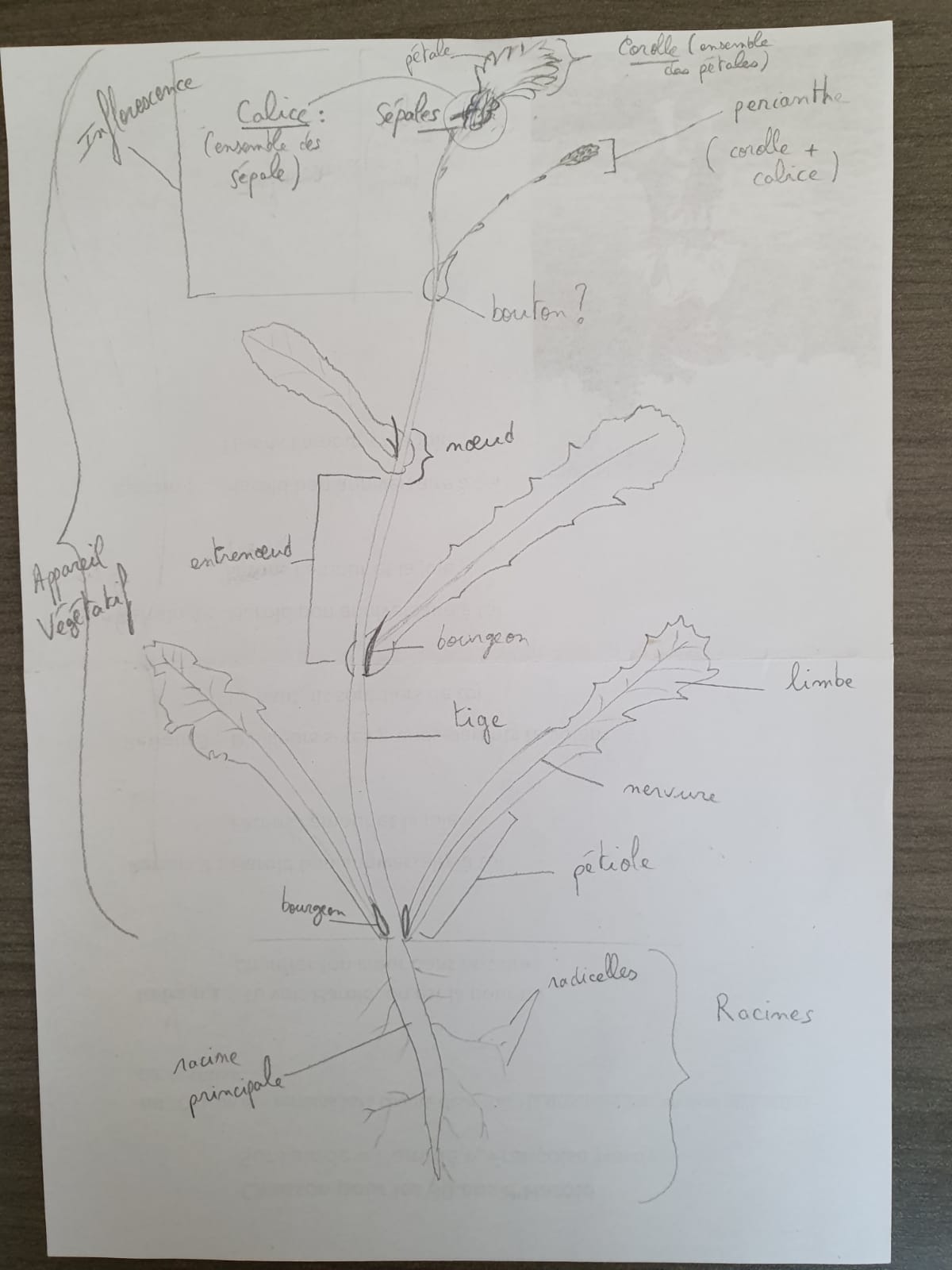 Annexe IMG-20200423-WA0003.jpg