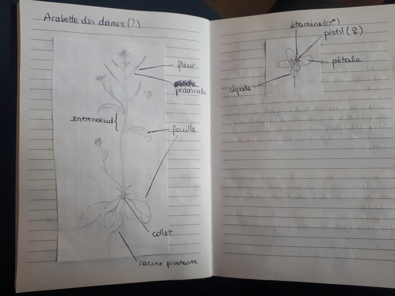 Annexe thumbnail_20200423_181624.jpg