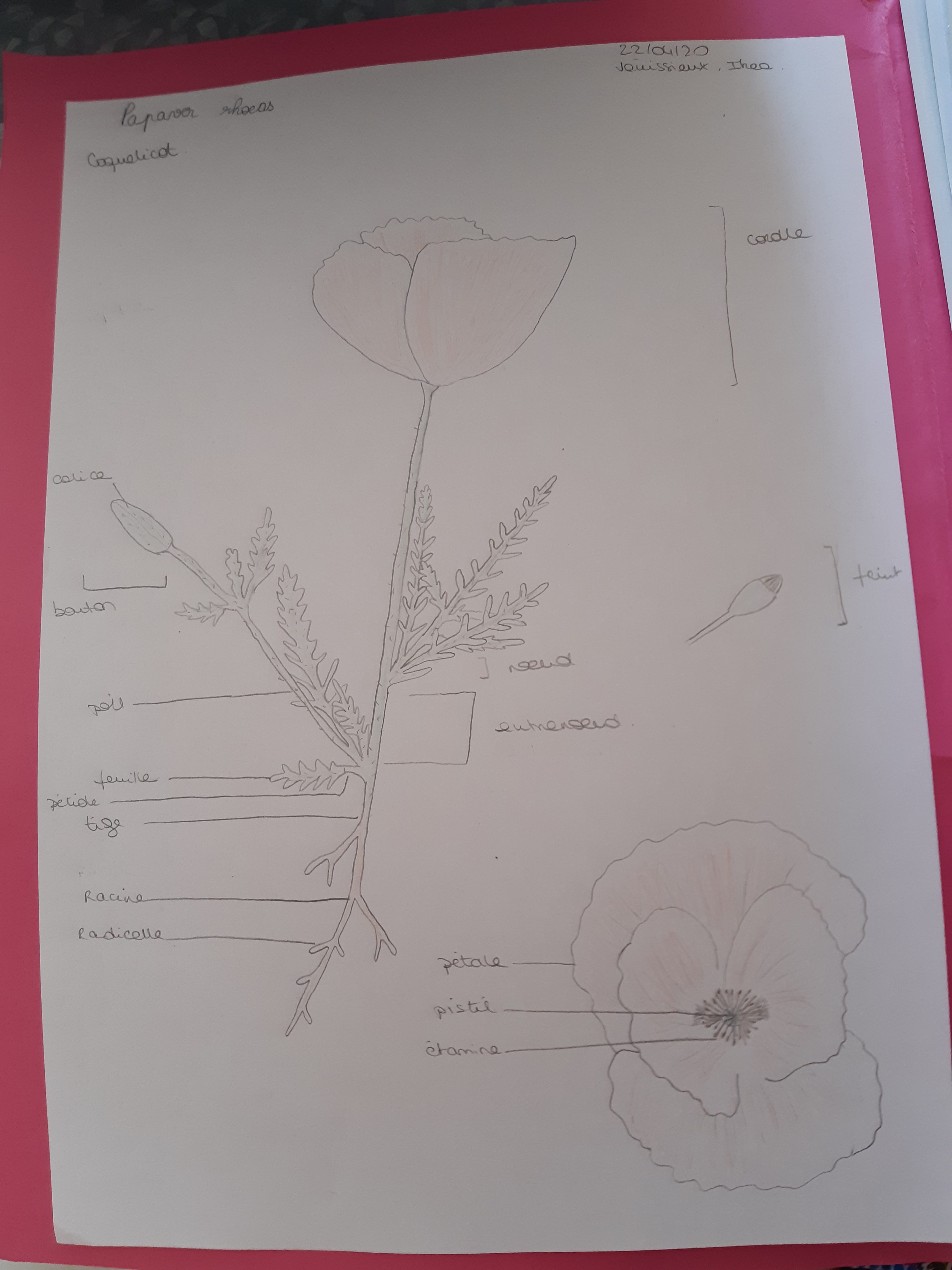 Annexe 20200423_110330.jpg