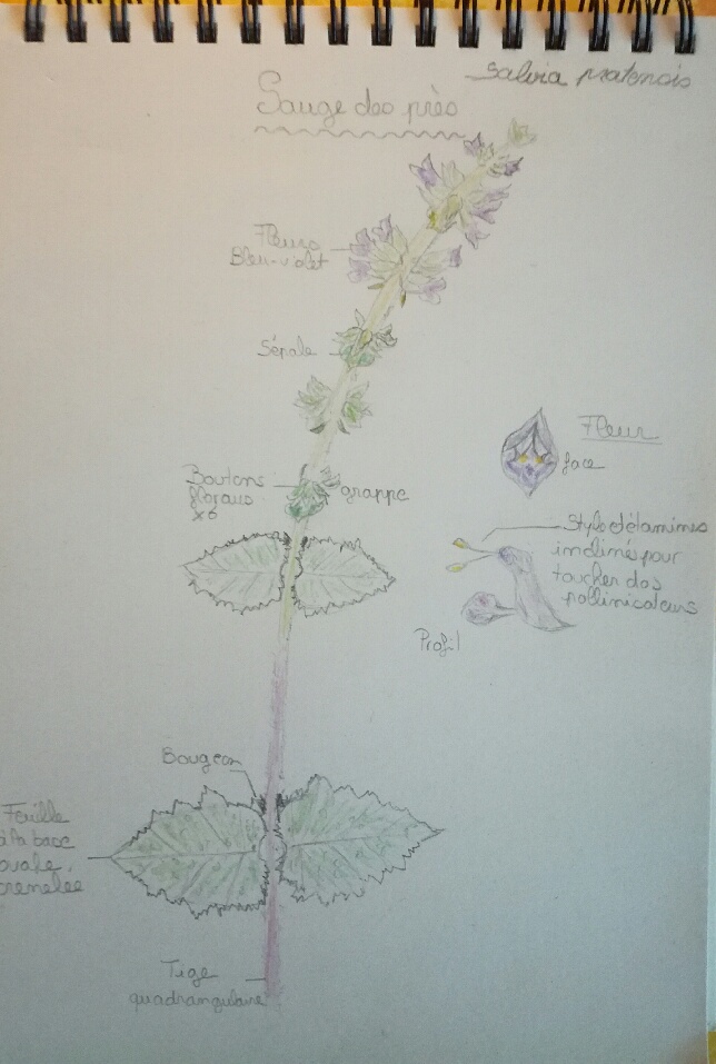 Annexe PART_1587493308817.jpg