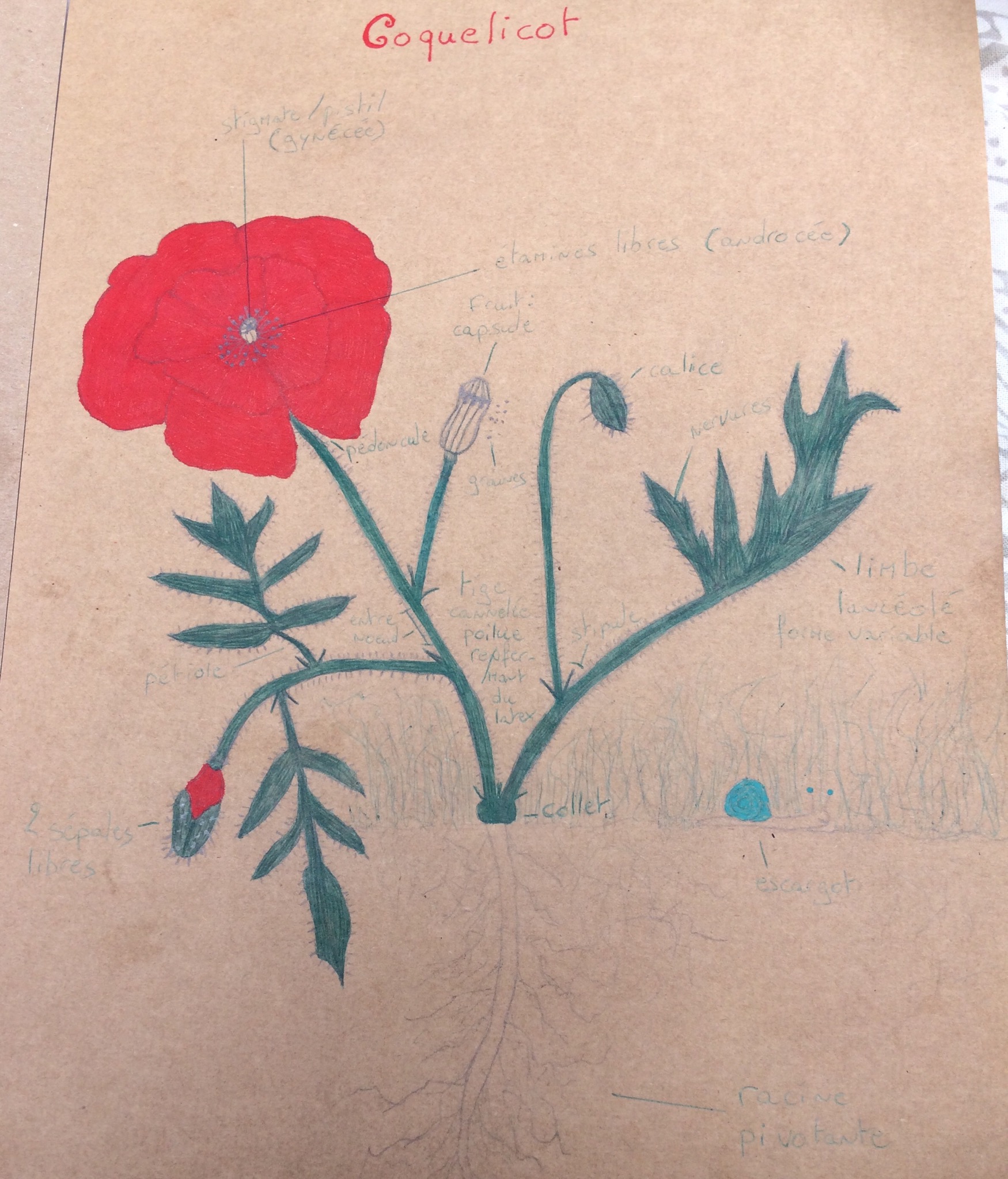 Annexe 6B3466DA-895A-4B54-8AE1-A45B949E1ACF.jpeg