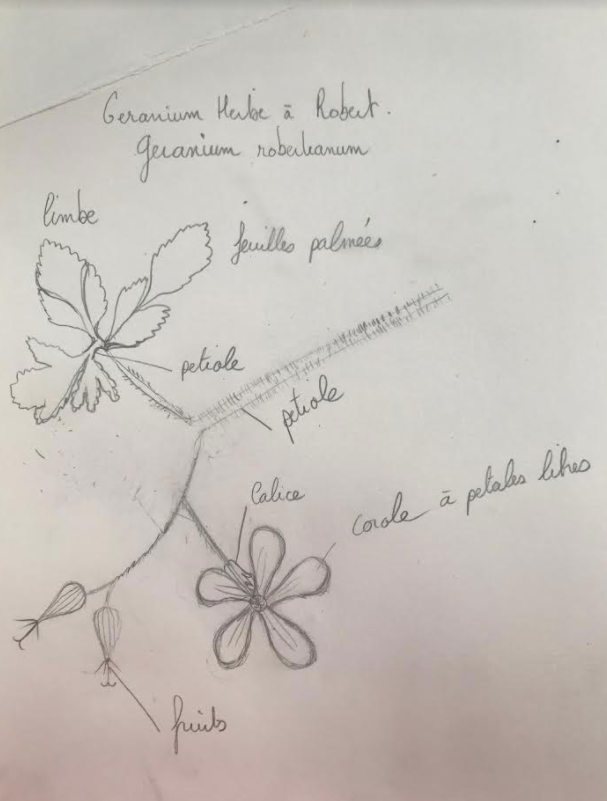 Annexe Capture d’écran 2020-04-24 à 19.16.17.png