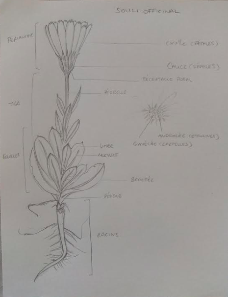 Annexe Screen Shot 2020-04-24 at 19.31.08.png