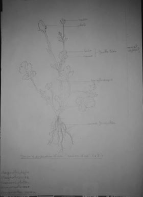 Annexe 94504776_551727182441911_2773702055989084160_n.jpg