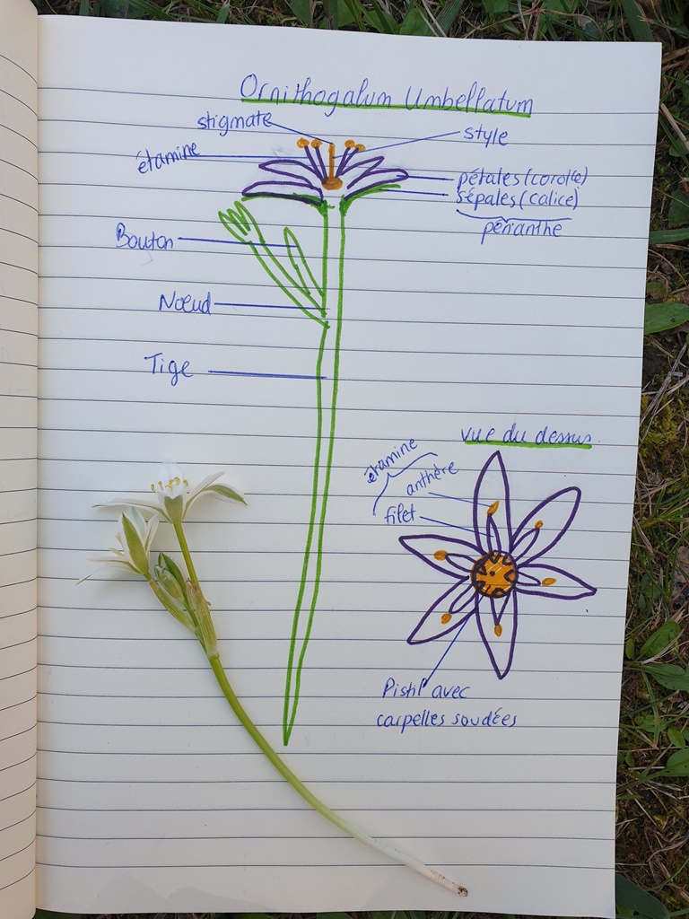 Annexe 20200425_134732.jpg