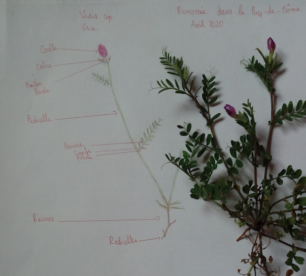 Annexe Capture d’écran 2020-04-25 à 16.56.12.png