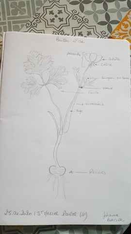 Annexe 20200425_174024.jpg