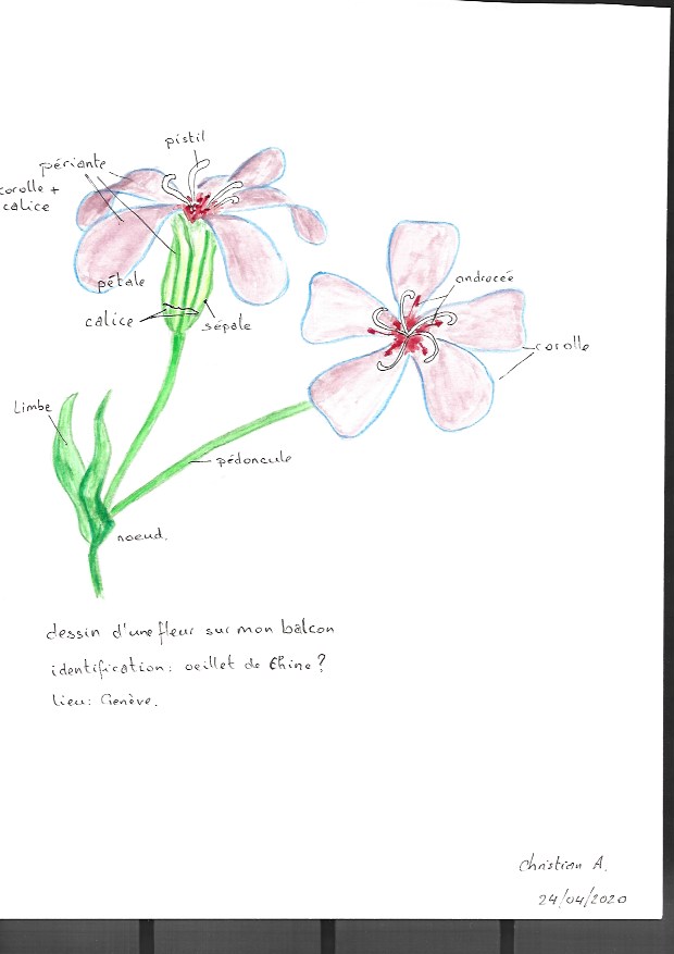 Annexe Numériser 1.jpeg