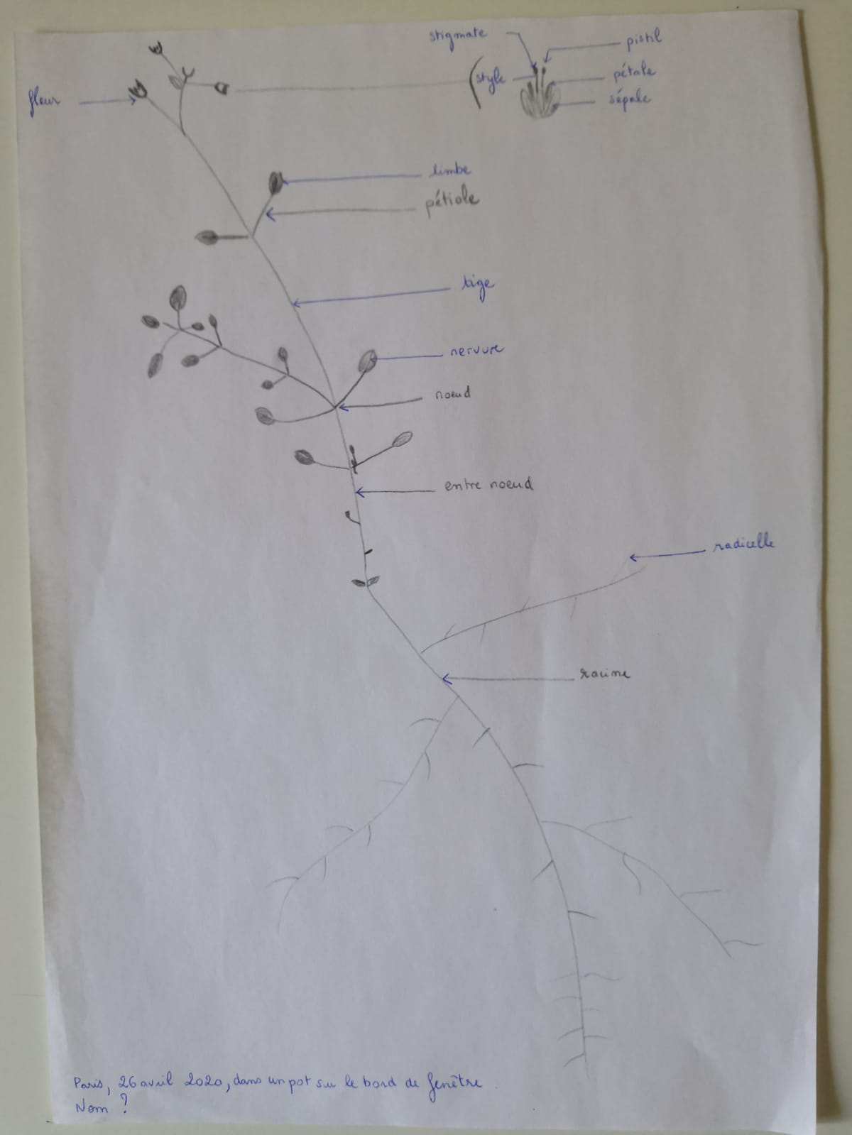 Annexe Photo de Tiphaine BENOIT.jpg