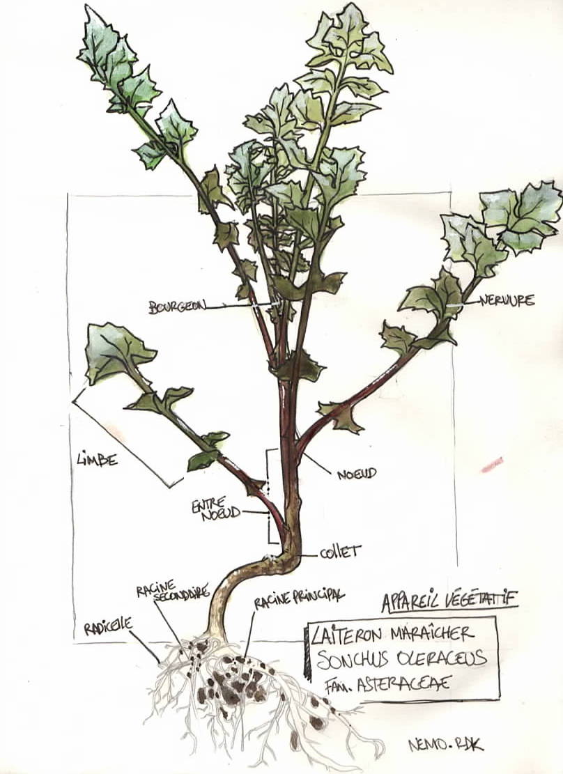 Annexe Numériser.jpeg