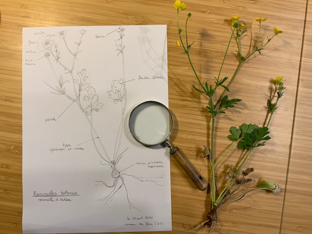 Annexe thumbnail_IMG_0851.jpg