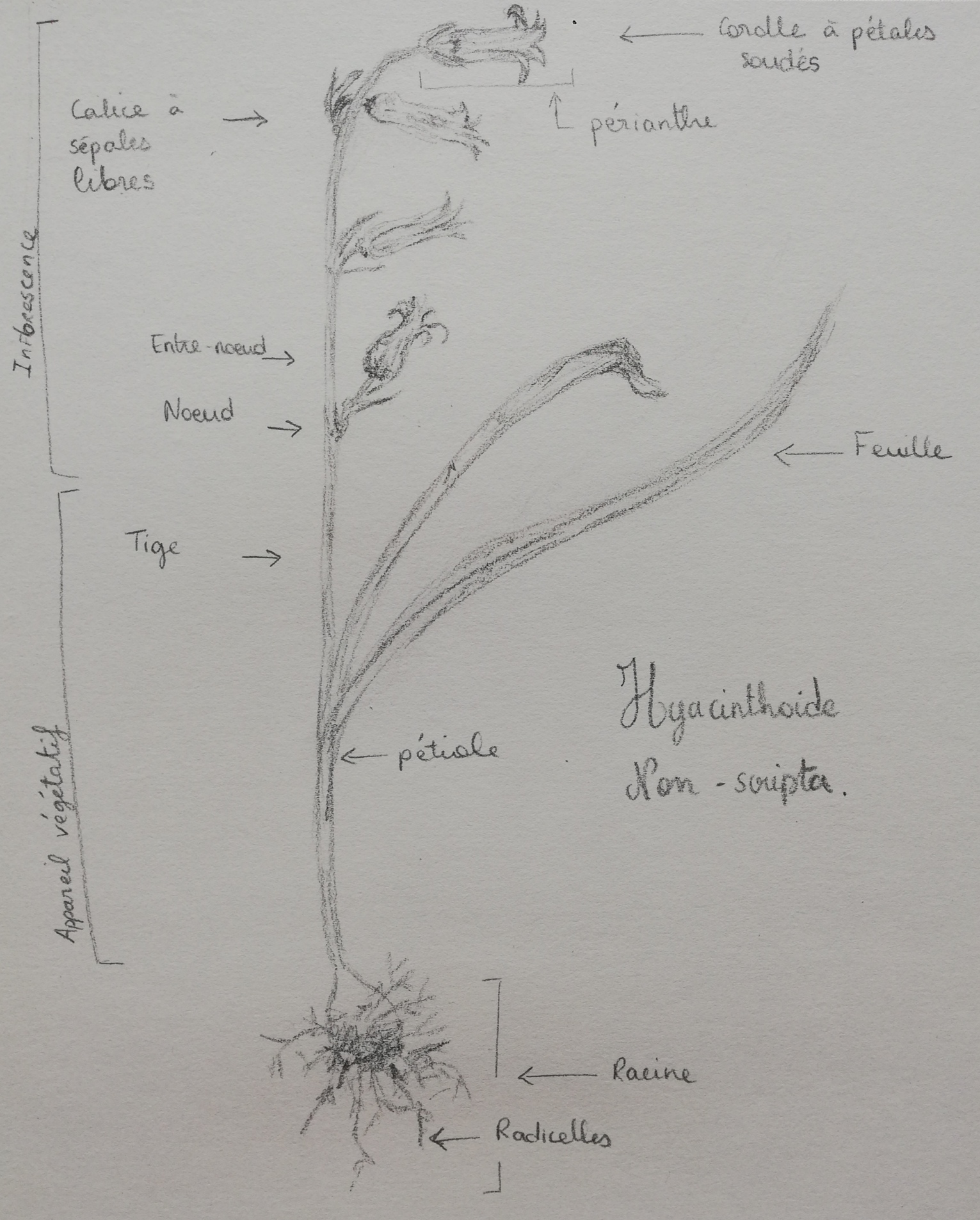 Annexe IMG_20200429_123926.jpg