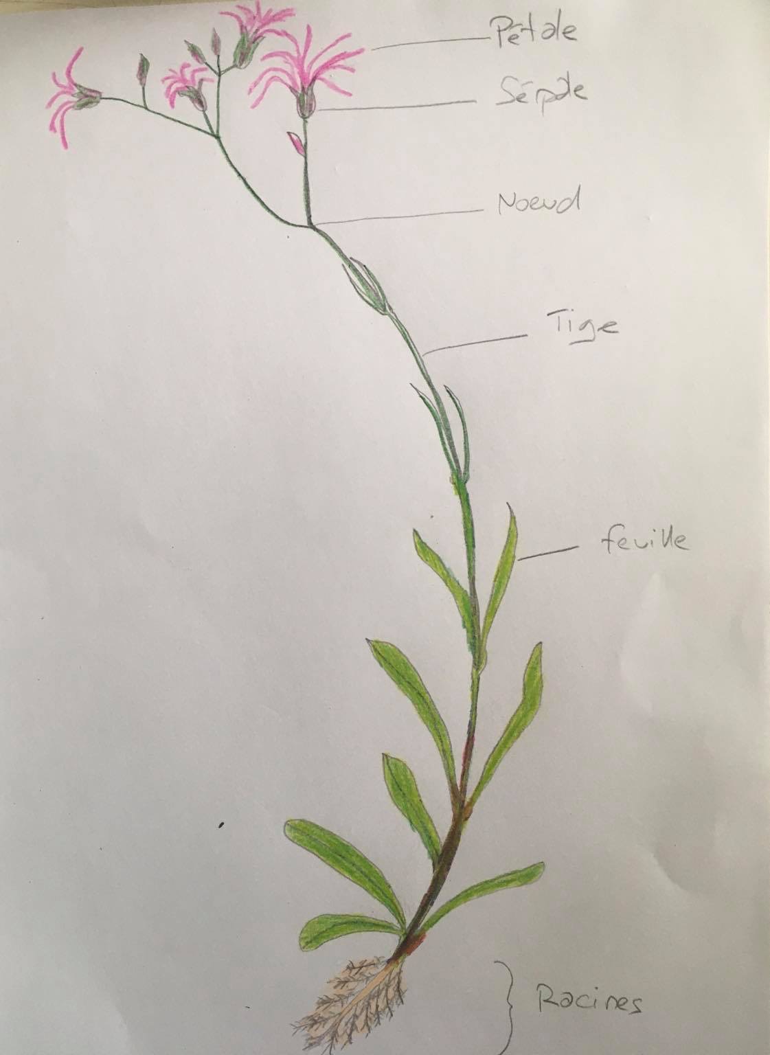 Annexe 911ED425-85DC-4EFC-844A-C072381D8A22.jpeg