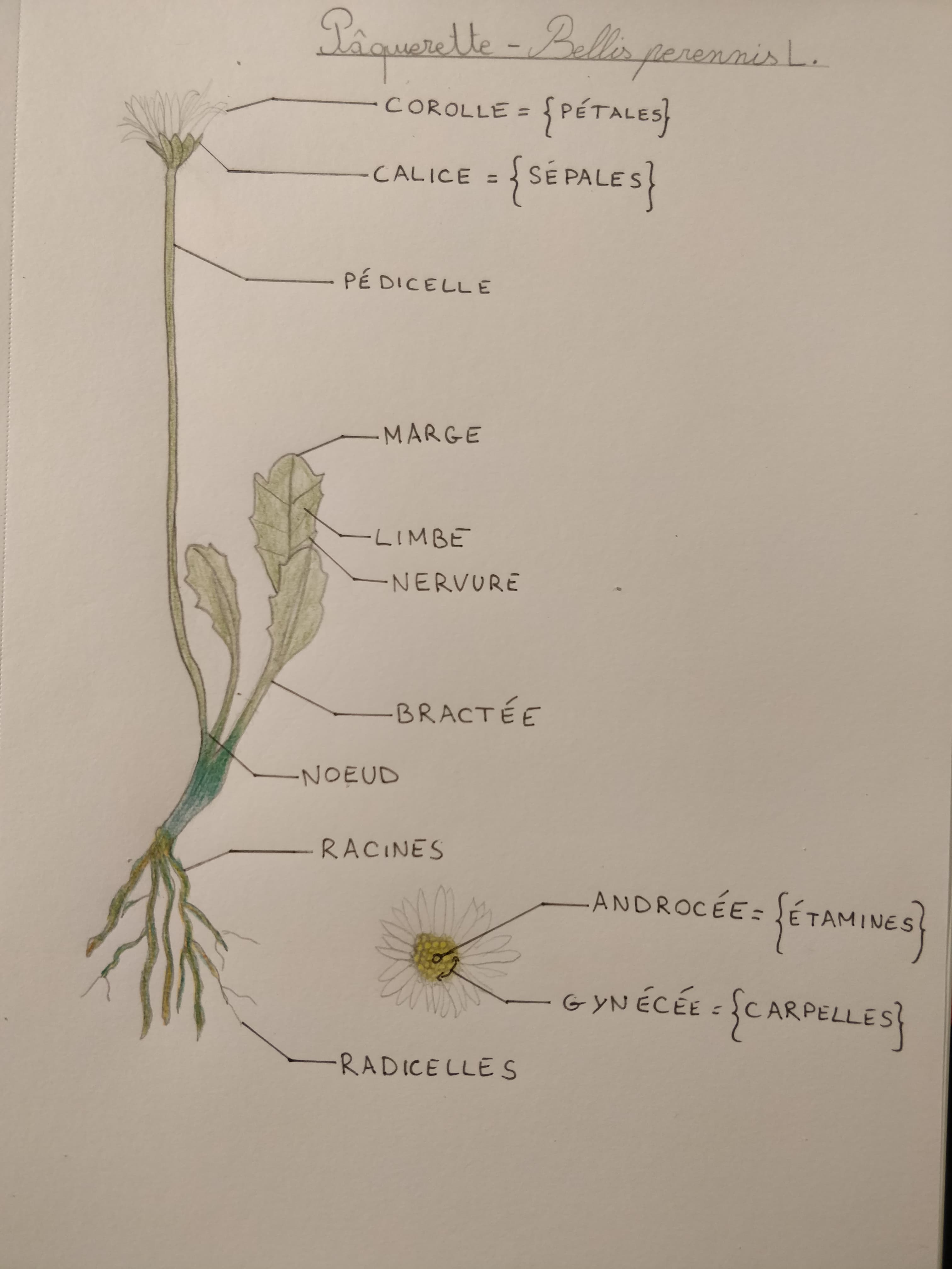 Annexe 94717595_645745522648695_5229538925340524544_n.jpg