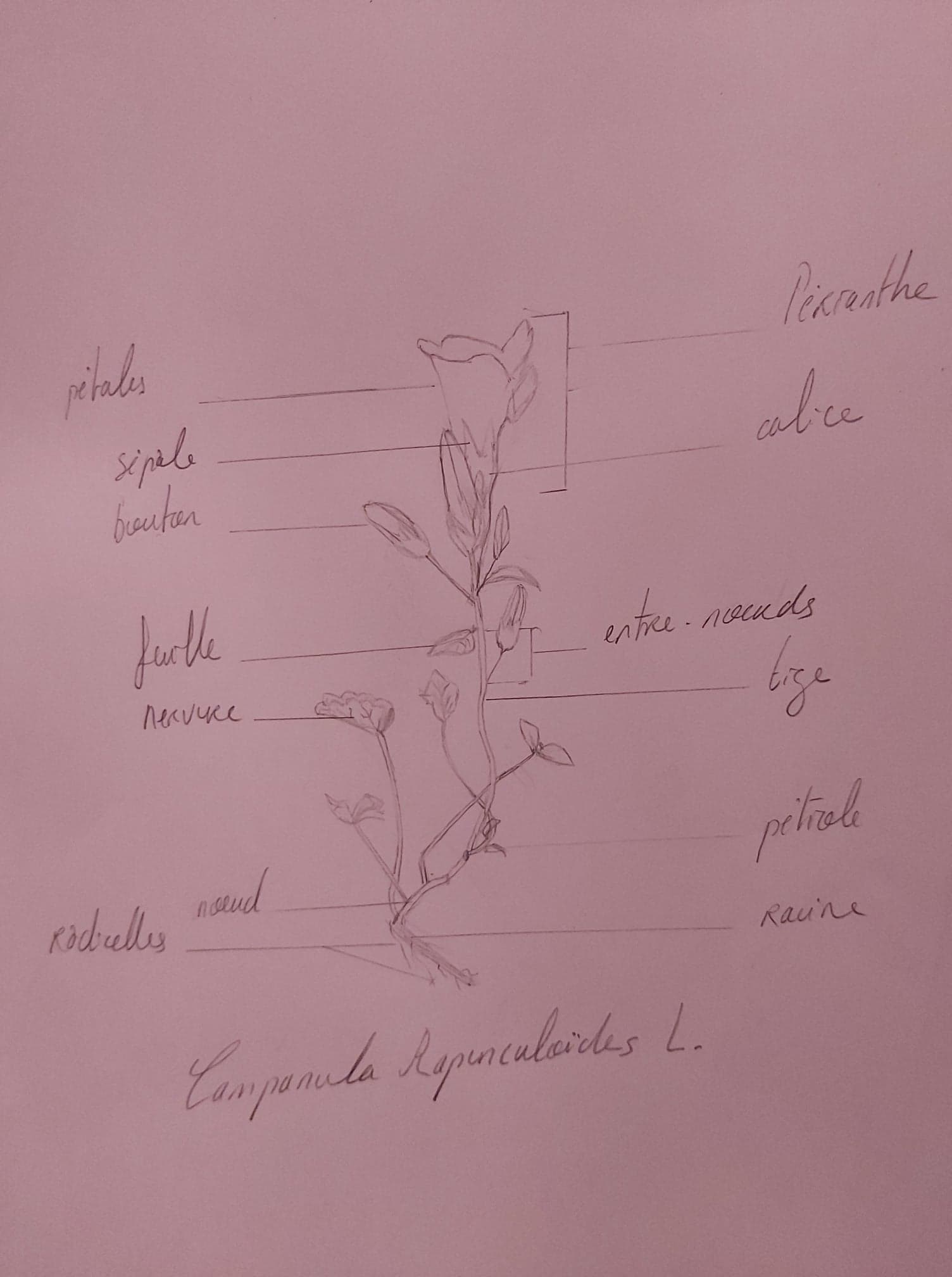 Annexe 95064246_651453275449402_8095304850859884544_n.jpg