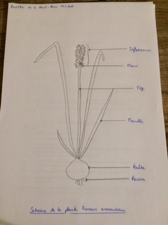 Annexe IMG_2729(1).jpg