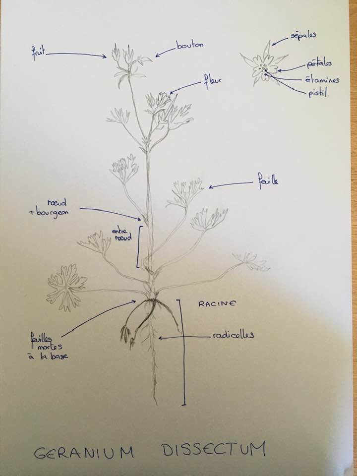 Annexe 95443729_10220918947059505_5040855746397339648_n.jpg