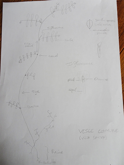 Annexe DSC066491.jpg