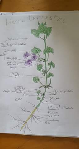 Annexe received_3054541981259743.jpeg