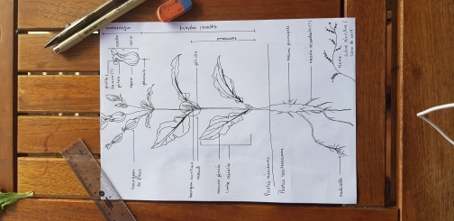 Annexe 20200506_174043.jpg